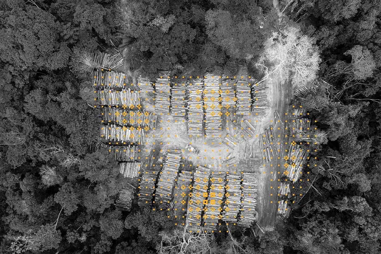 vue d'ensemble en noir et blanc d'une forêt avec des rondins d'arbres dans une zone circulaire centrale