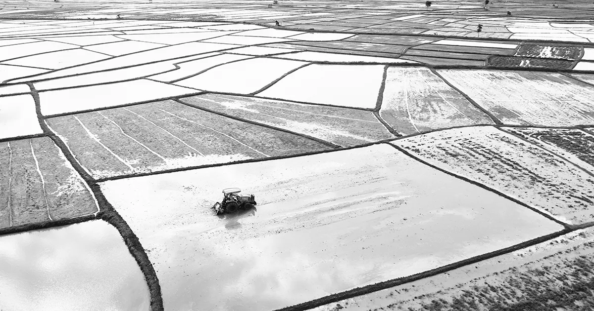 decorative background image of farm land