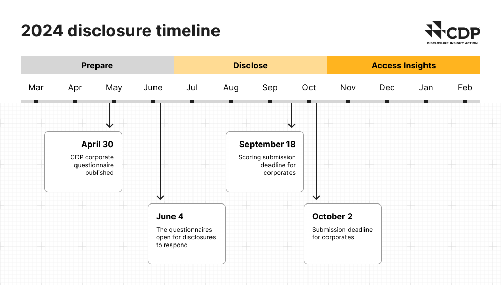 cdp disclosure timeline