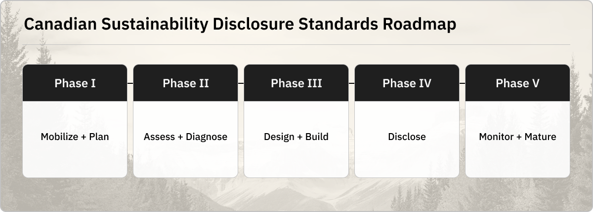 Canadian Sustainability Disclosure Standard Roadmap