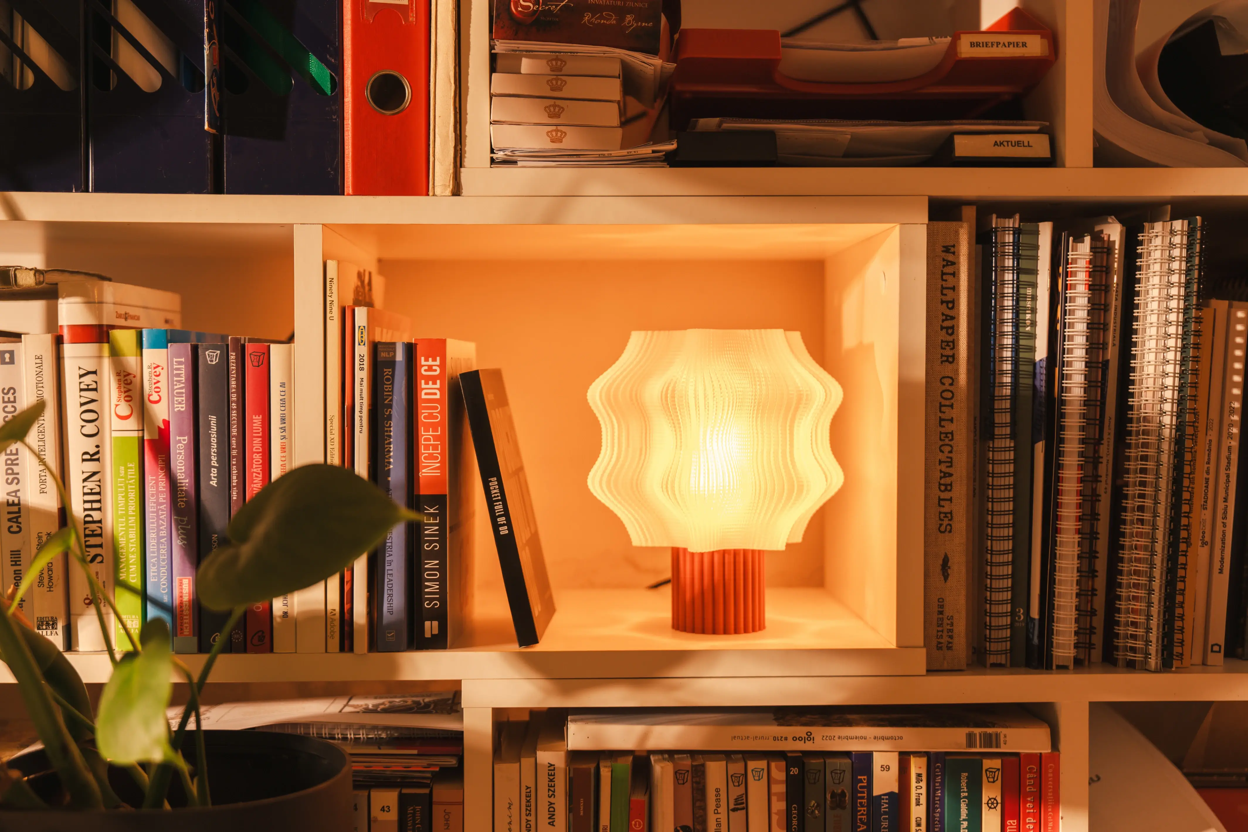 jellyberry-li…ary-hero