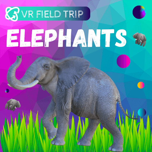 elephants