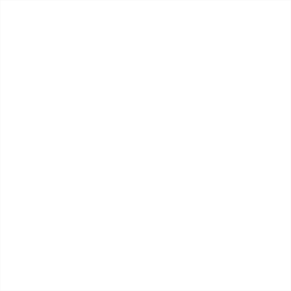 CHiwi Foundation