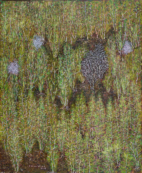 Les bouleaux d'avril