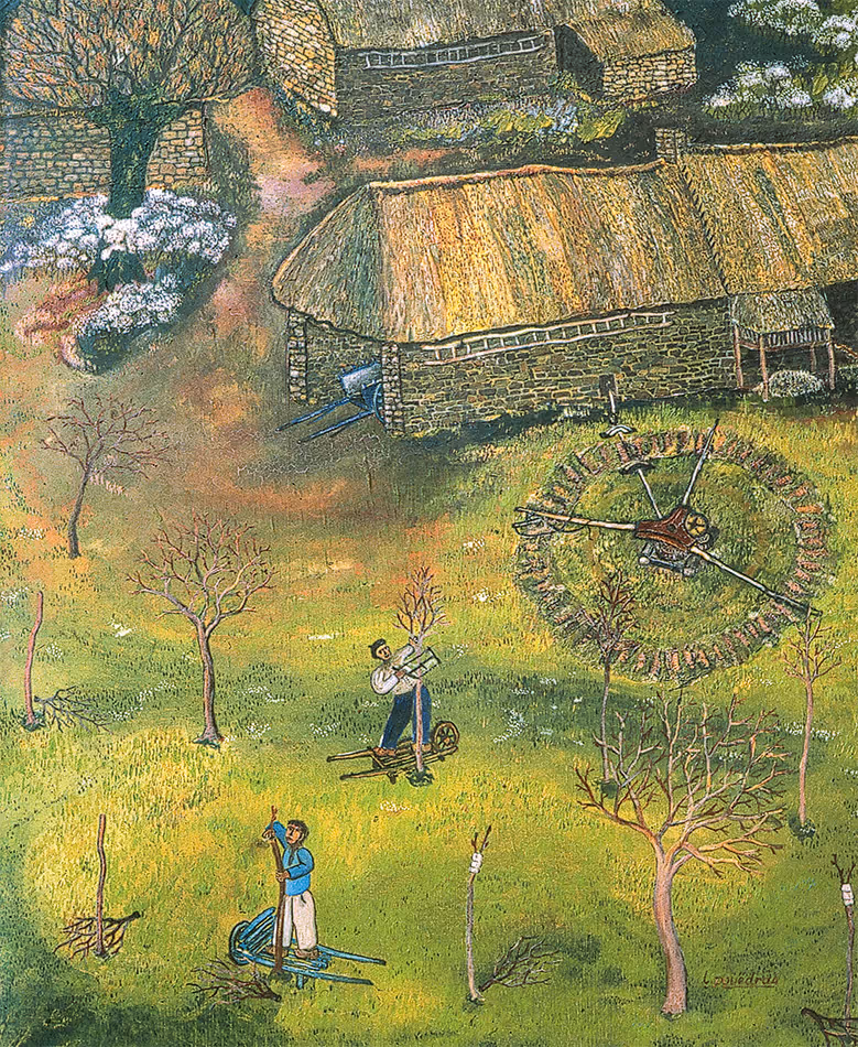 La greffe du pommier