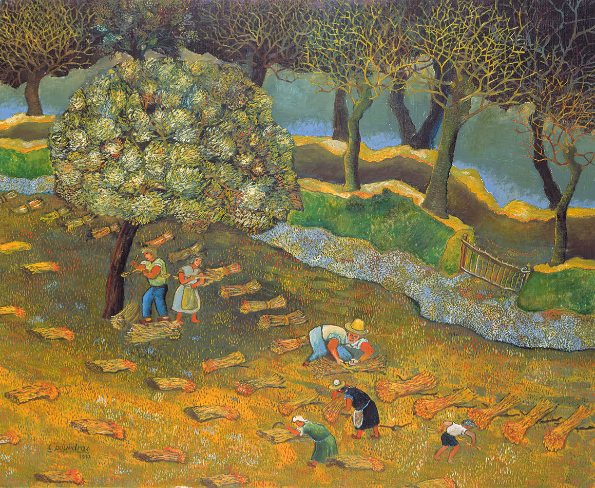 La mise en gerbe du seigle