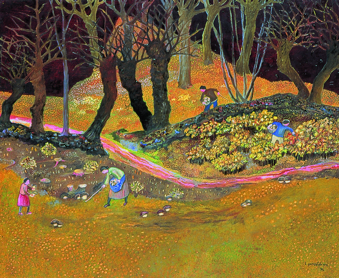 La cueillette des cèpes