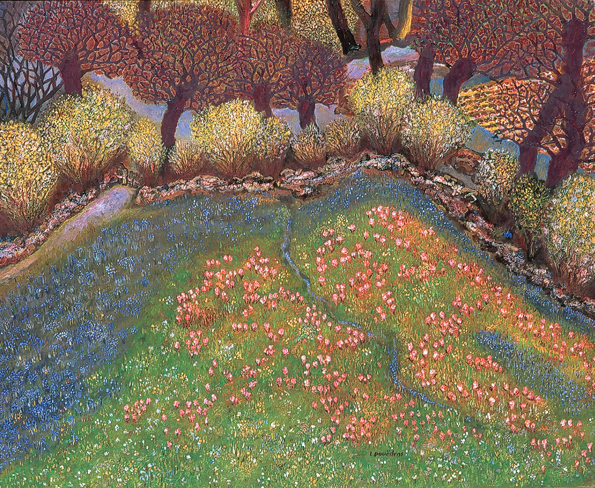 Les orchidées : les prairies en main