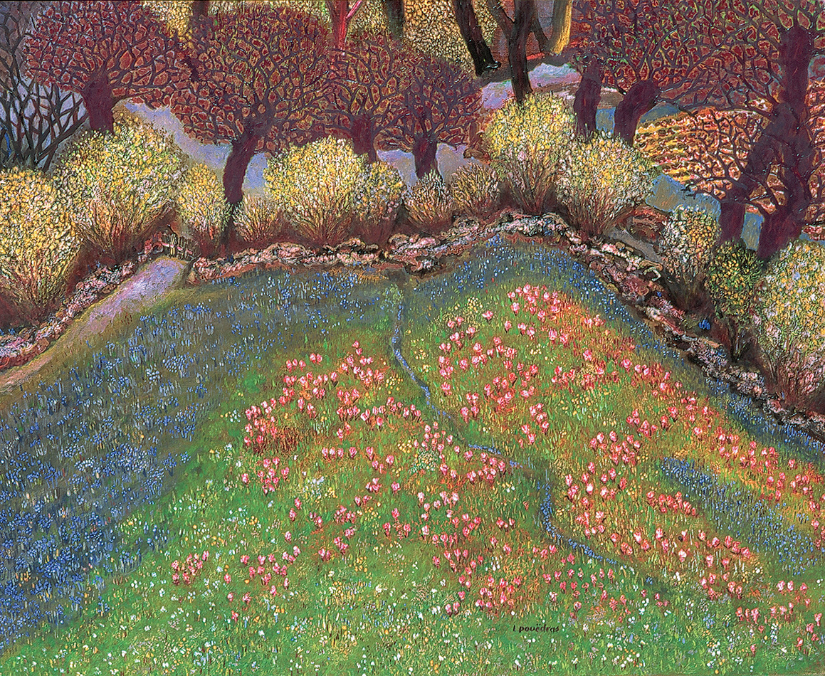 Les orchidées : les prairies en main