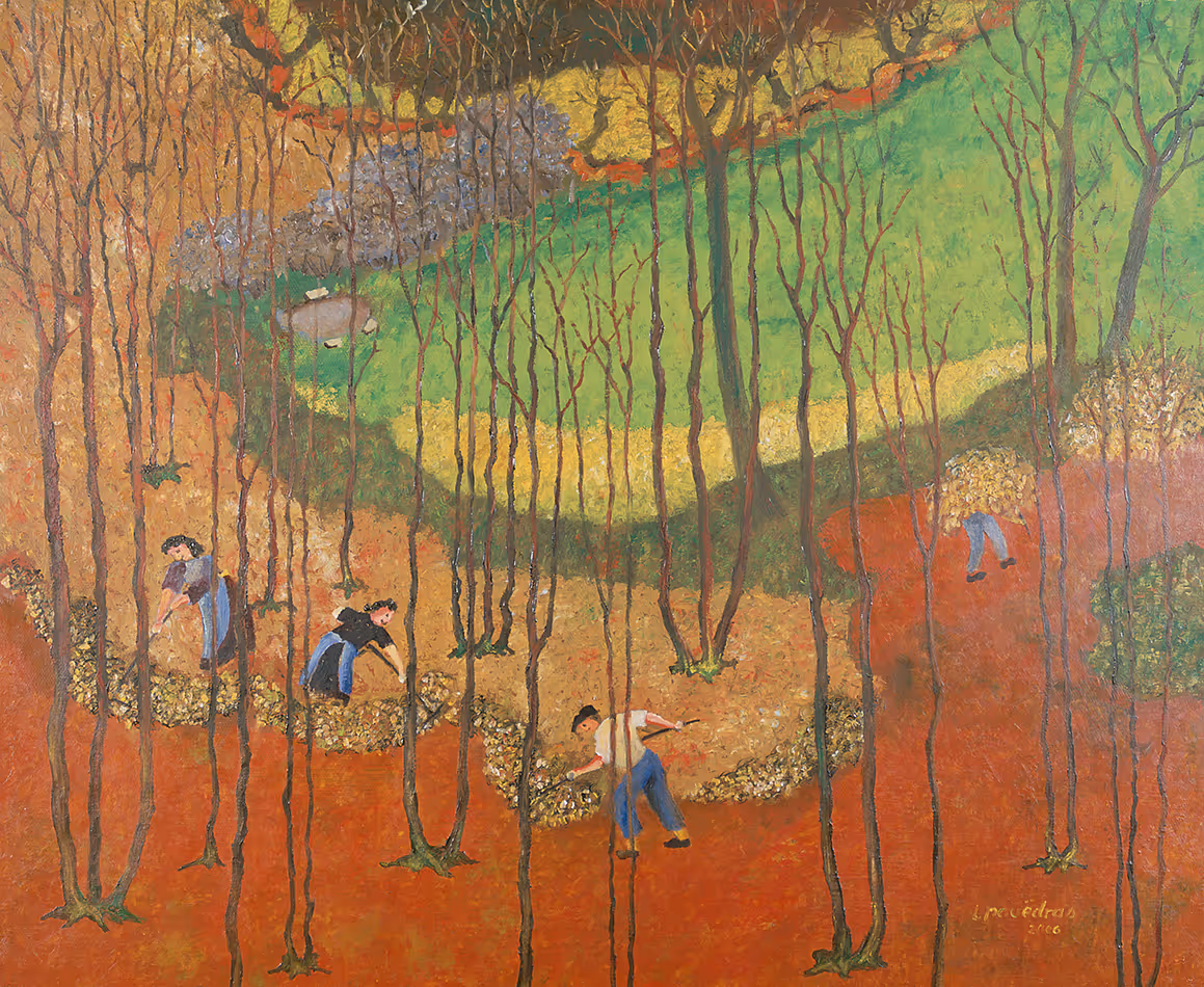 Récolte de la litière