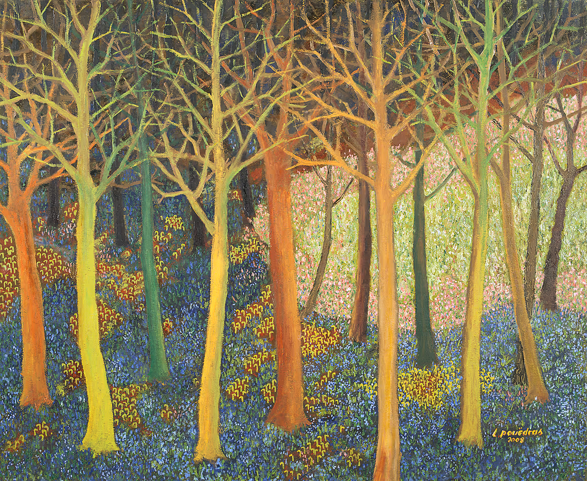 Jacinthes en sous bois