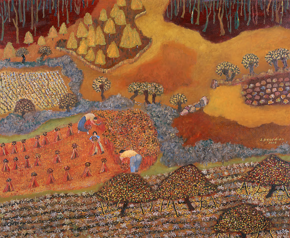 La moisson du blé noir