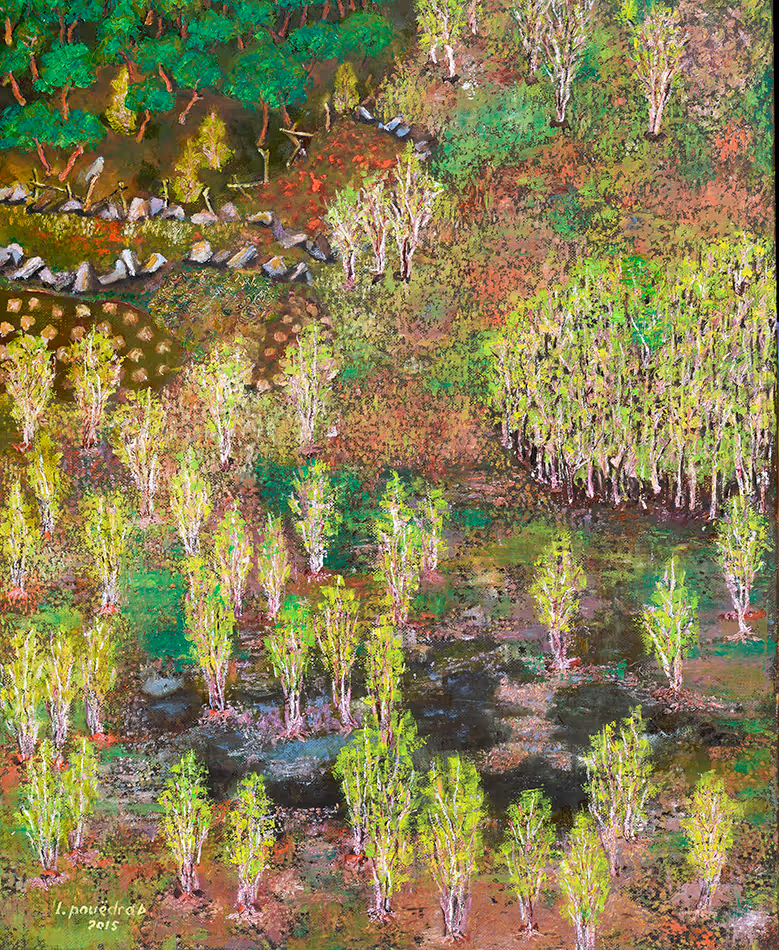 Un coin de tourbière