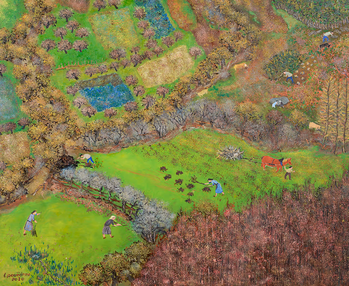 Décembre dans les prairies