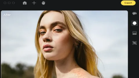 Windows AI Image Editor