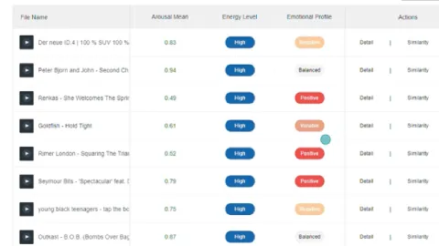 AI Music Categorization Service