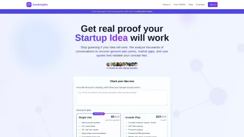 ZoraInsights