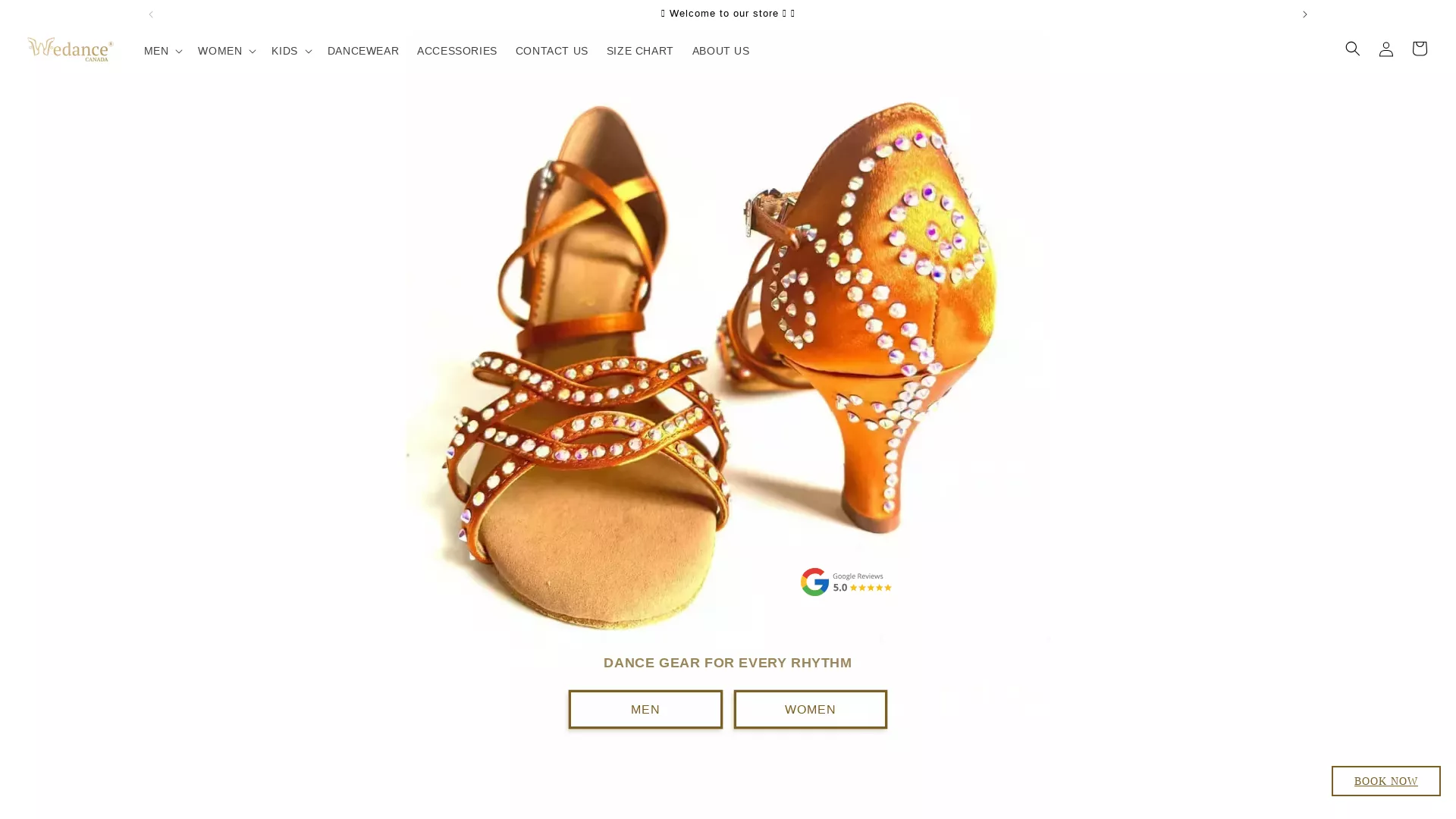 Wedance Fit - AI Dance Shoe Fitting Website Screenshot