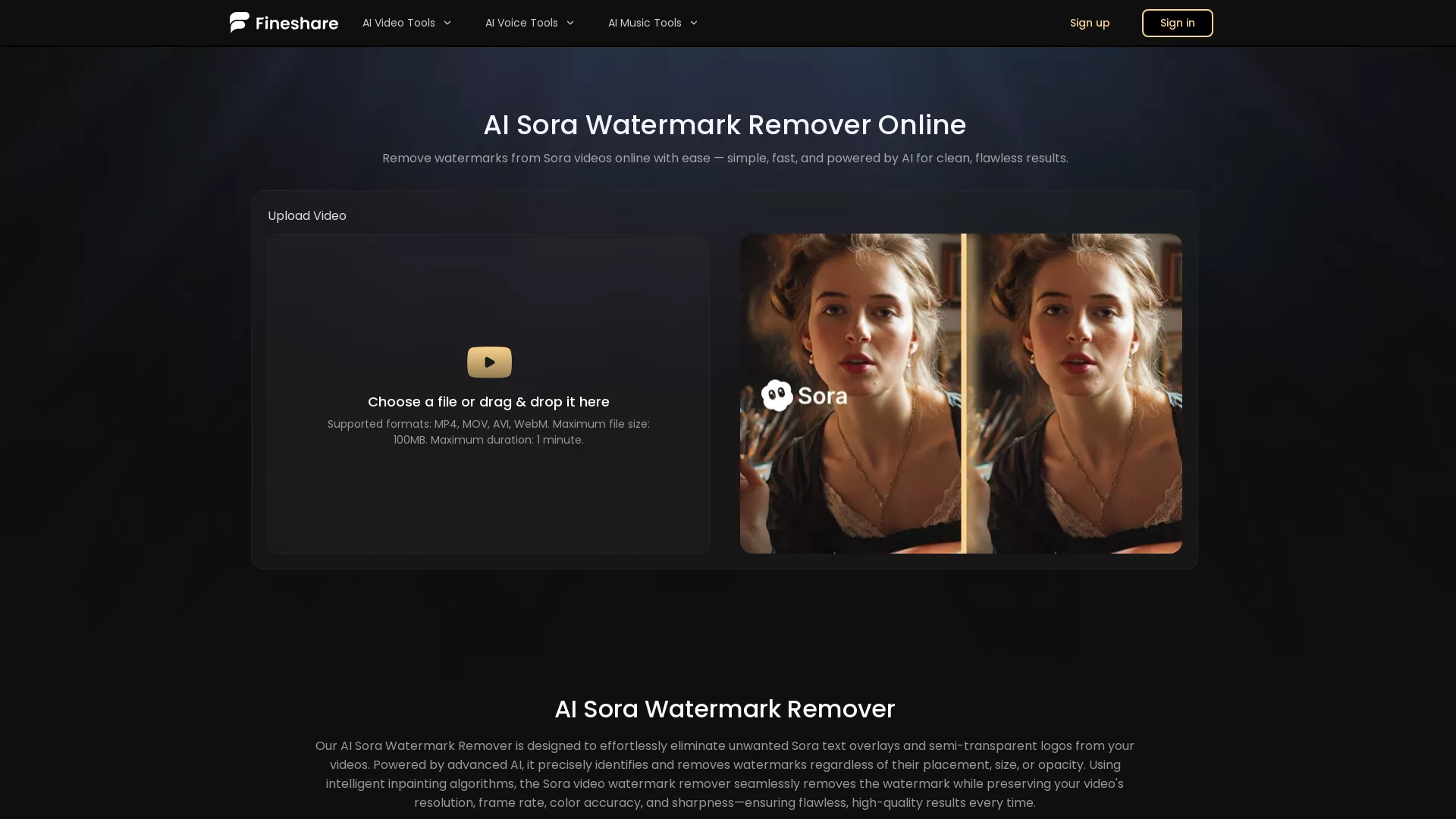 AI Sora Watermark Remover - AI Watermark Remover Website Screenshot