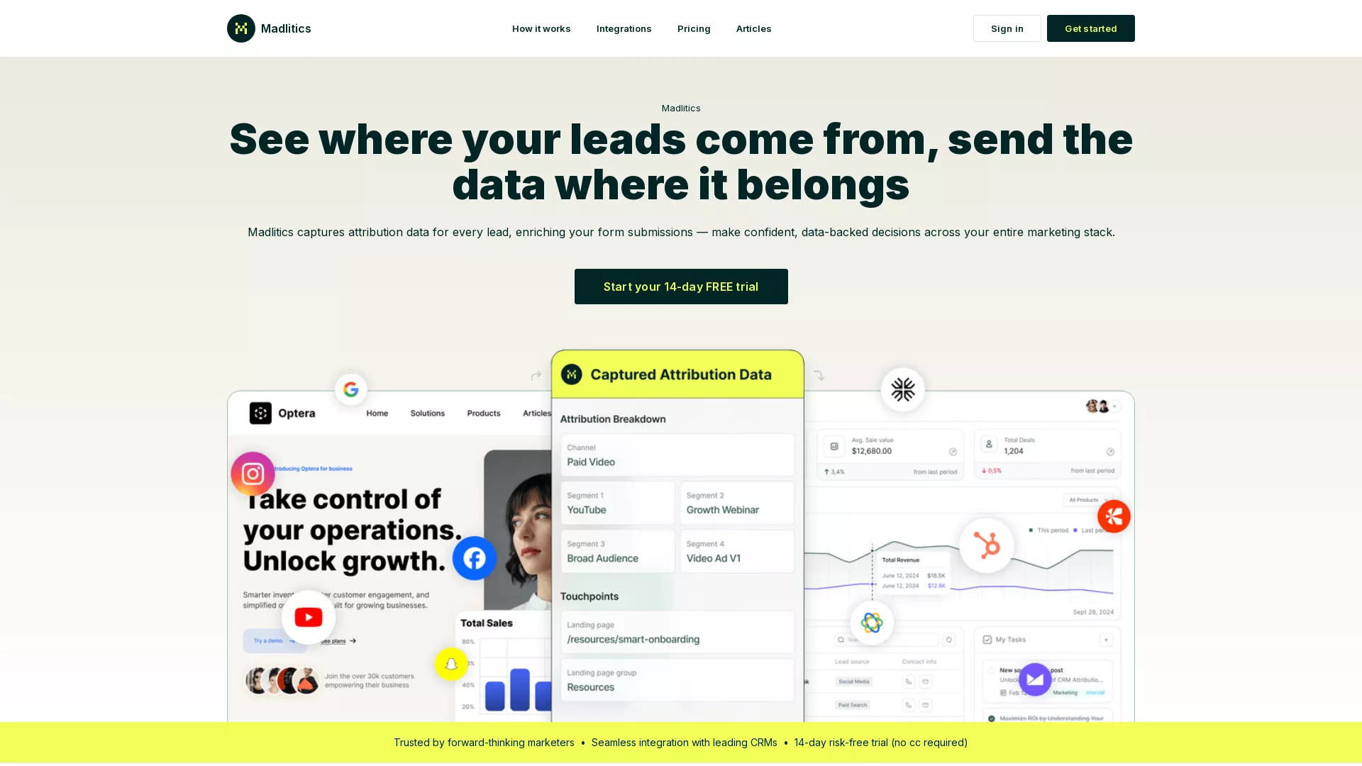 Madlitics - AI Customer Leads Enrichment Website Screenshot