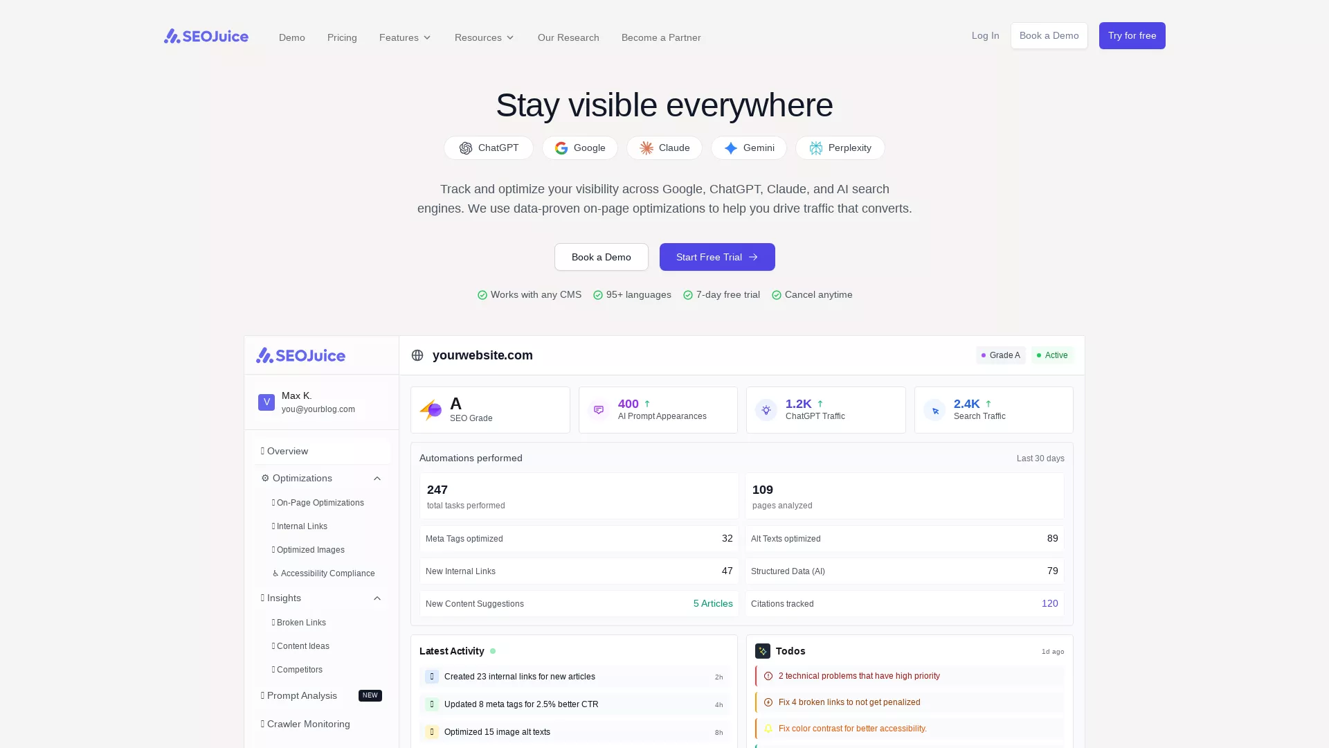 SEOJuice - Automated SEO Tool Website Screenshot