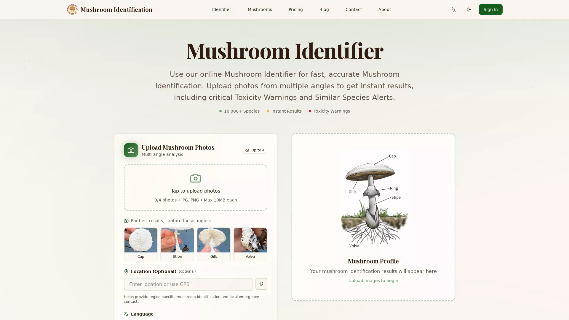 MushroomIdentifier - AI Mushroom Identification Website Screenshot