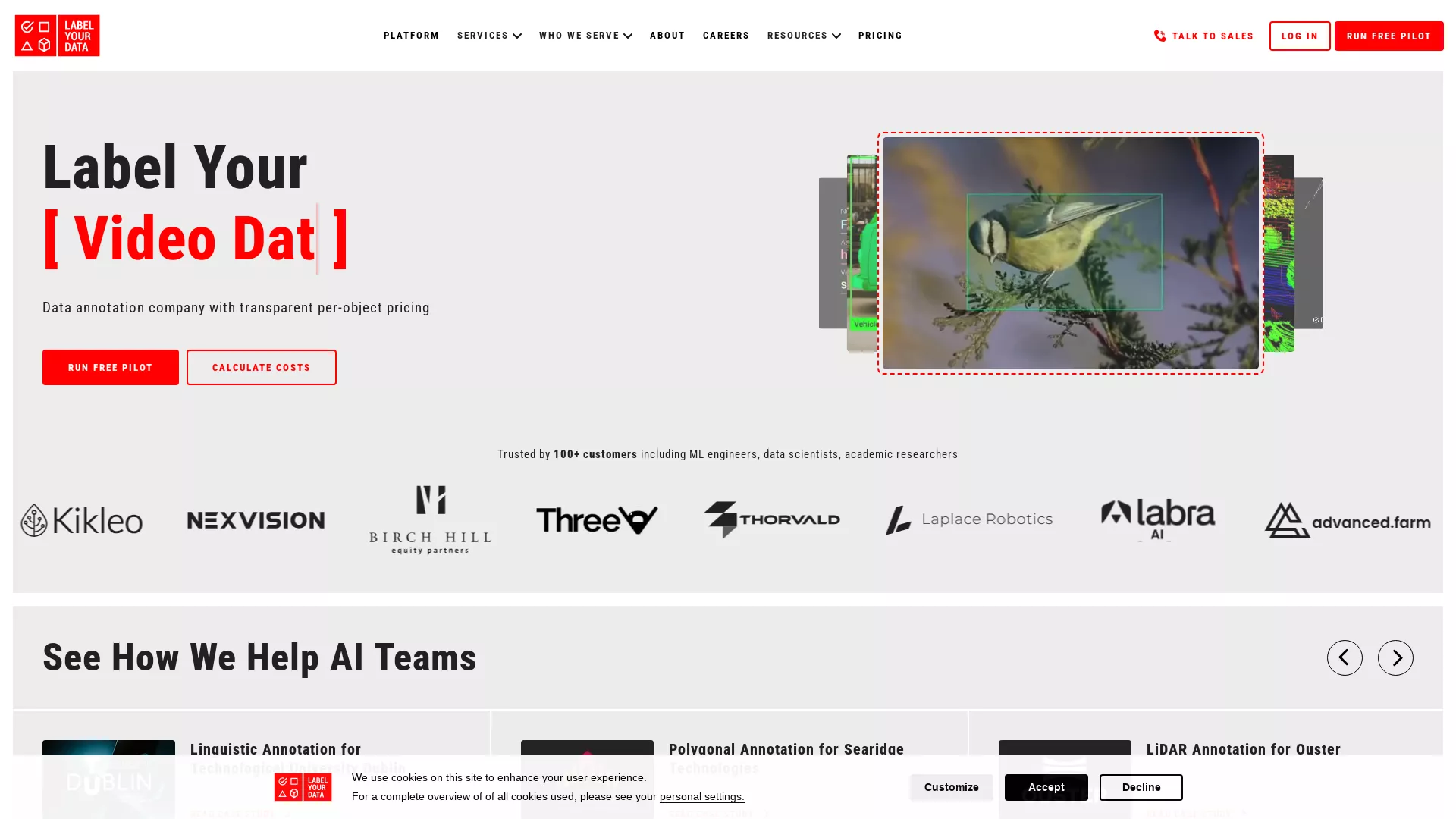LabelYourData - Data Annotation Platform Website Screenshot