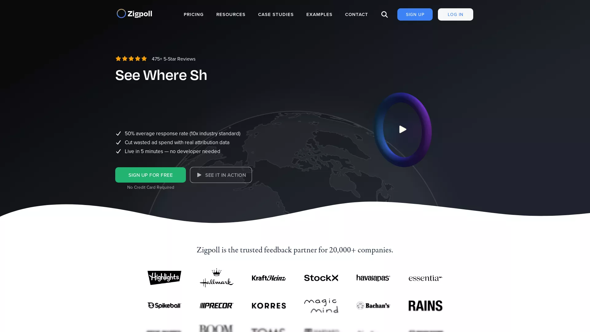 Zigpoll - Customer feedback surveys for ecommerce and SaaS Website Screenshot