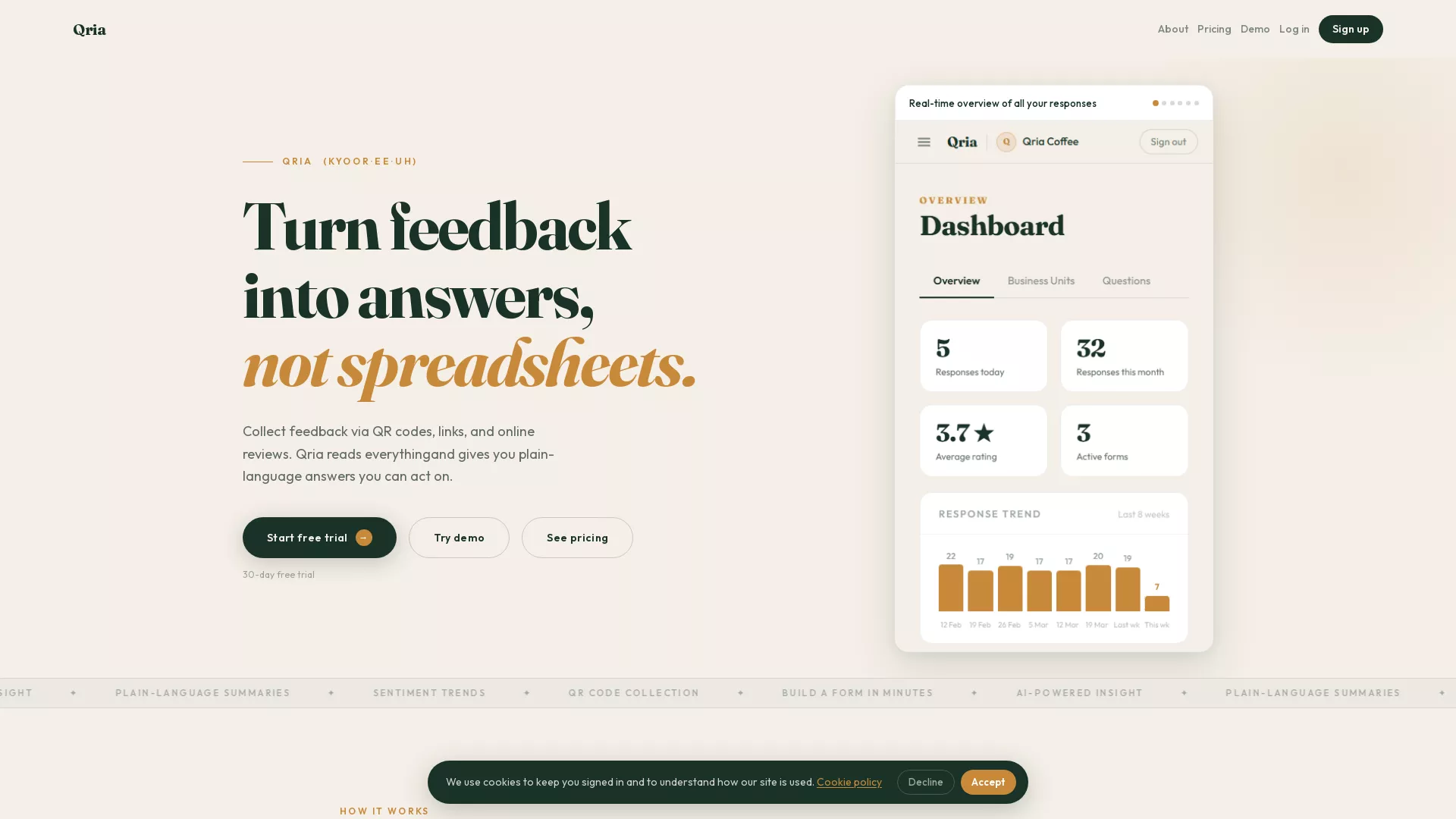 Qria - AI ReviewAnalysis Tool Website Screenshot