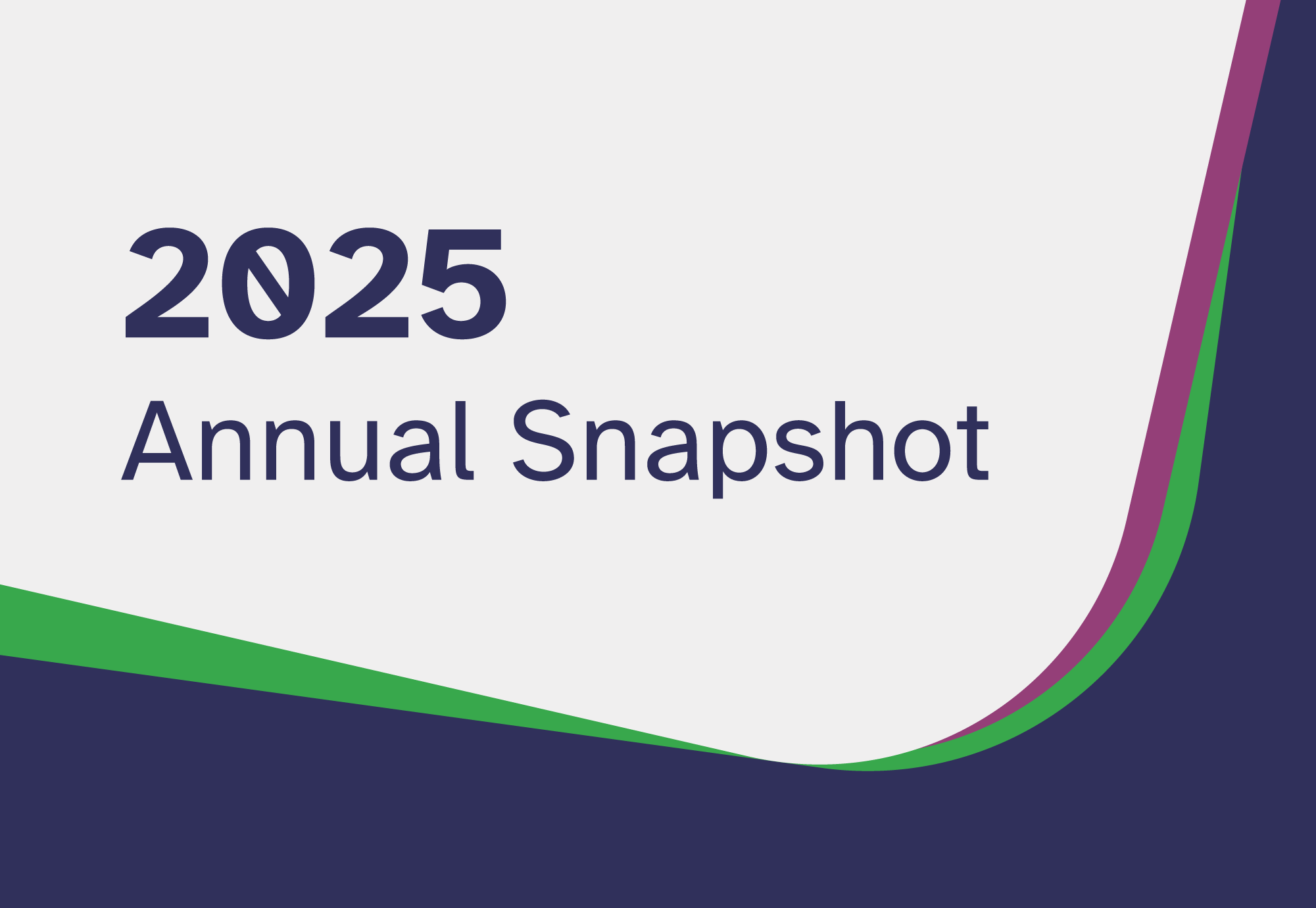 The image displays a graphic with the title "2025 Annual Snapshot" against a light background with some colourful highlights.