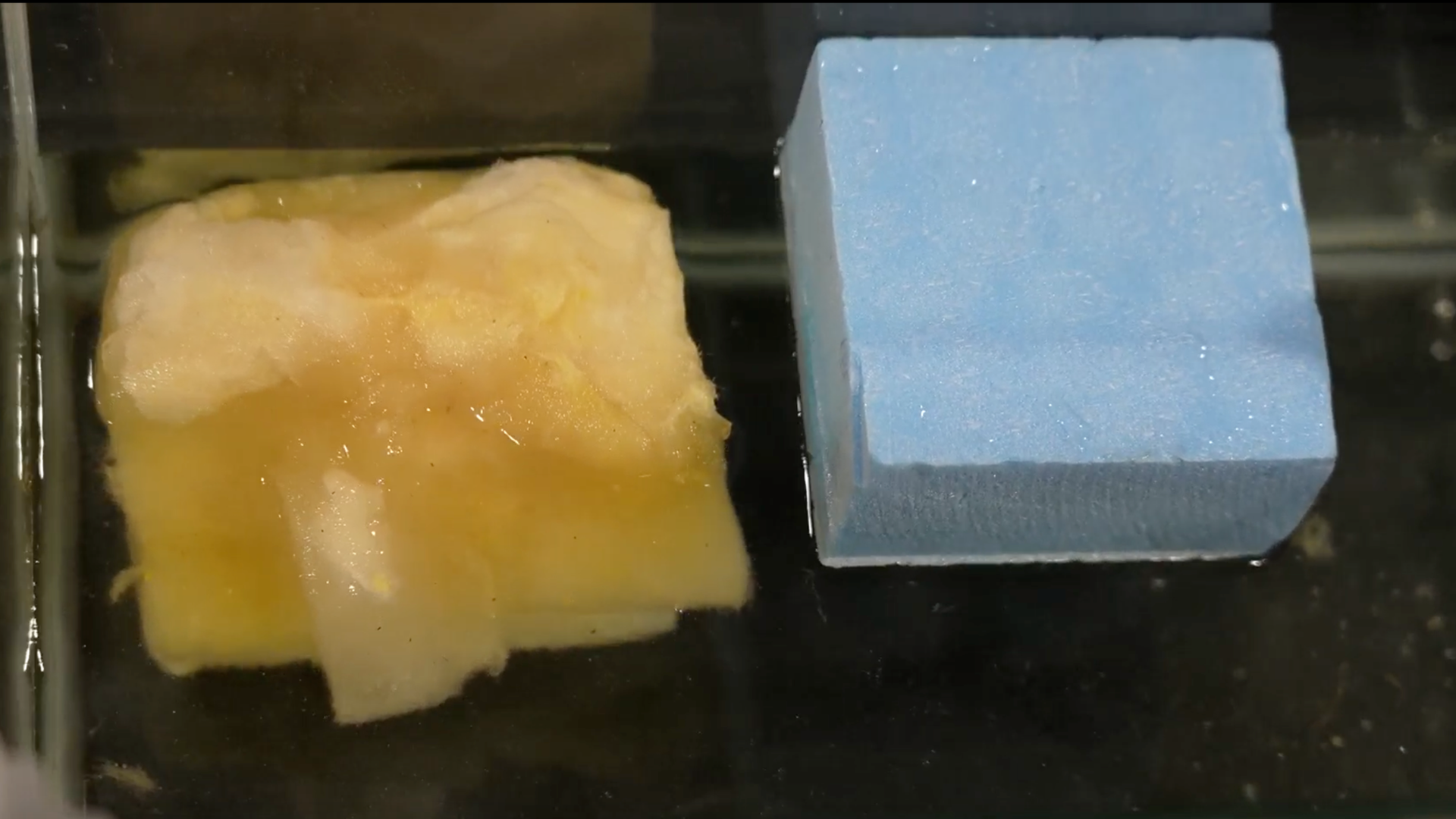 A birds-eye view of a piece of soaked insulation on the left next to a floating piece of rigid insulation. The two pieces are in a fishtank filled with water