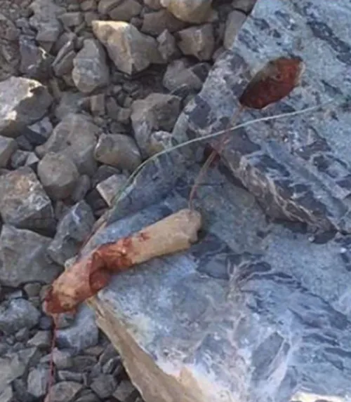 undetonated explosive material—including Class 1 detonators