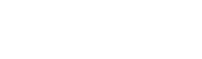 Wirtgen road construction machines logo