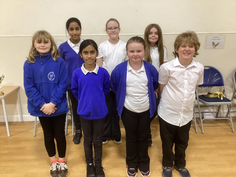 1625279034398733_1260433926100131