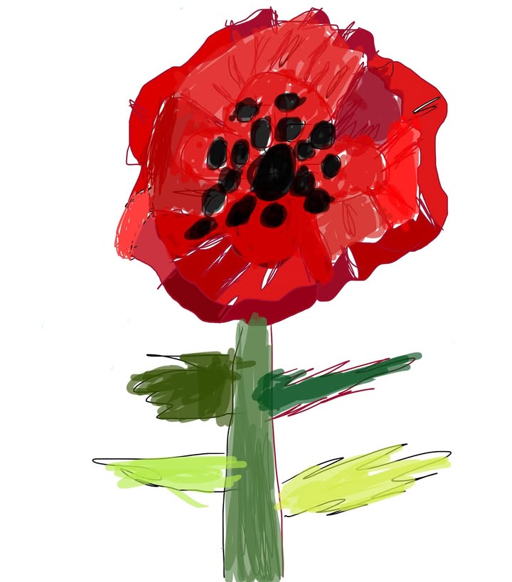 1625279034398733_1264123692397821