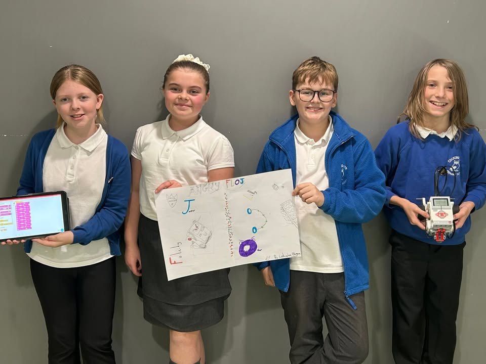 1625279034398733_1270533645090159