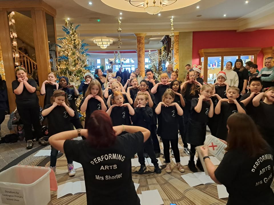 1625279034398733_1279860630824127