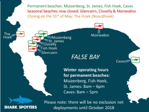 season-for-sharks-cape-town