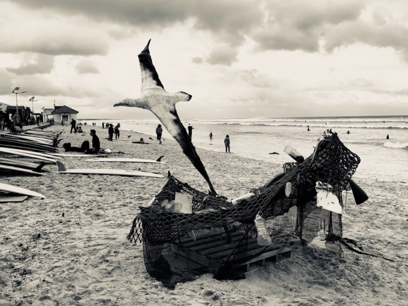 contrasts-at-muizenberg-Jiggs Snaddon-Wood
