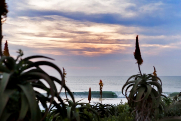 deSouza a5231jbay15cestari_n