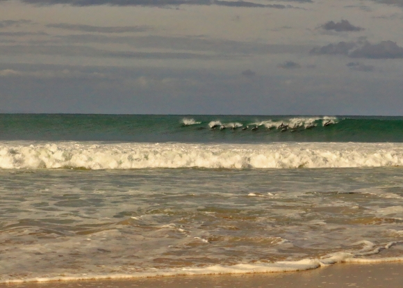 JBayOpen-July-2018-Spike-005