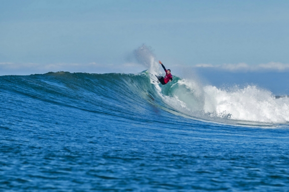 parkinson j2010jbay18cestari_mm