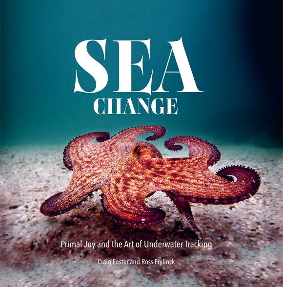 sea-change-media-1