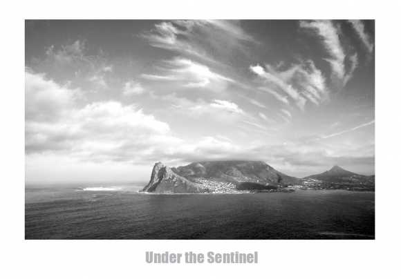 sentinel-download-PDF-final-final