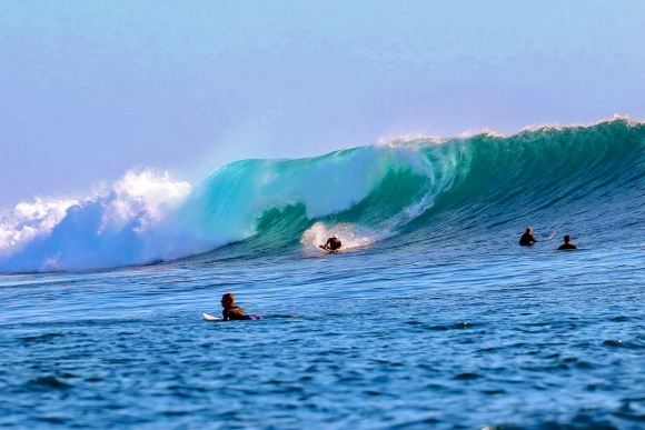 Java-G-Land-Surf-Money-Trees-Marcel-Habets