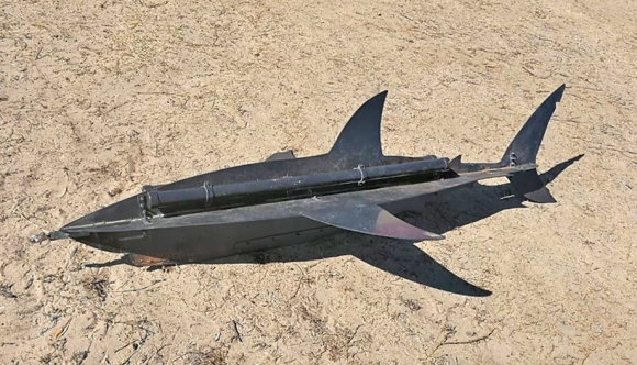 shark-shaping