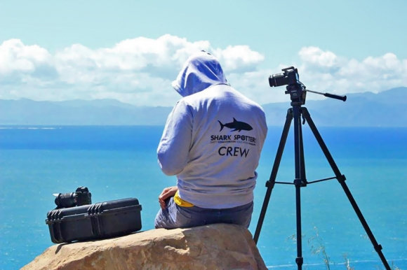 shark-spotters