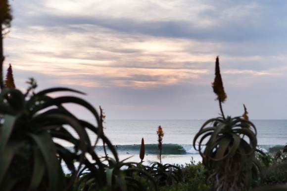 deSouza a5231jbay15cestari_n