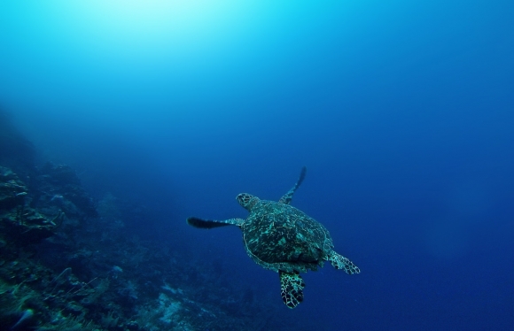 raspect-sunscreen-th