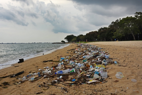 Litter on_Singapores_East_Coast_Park